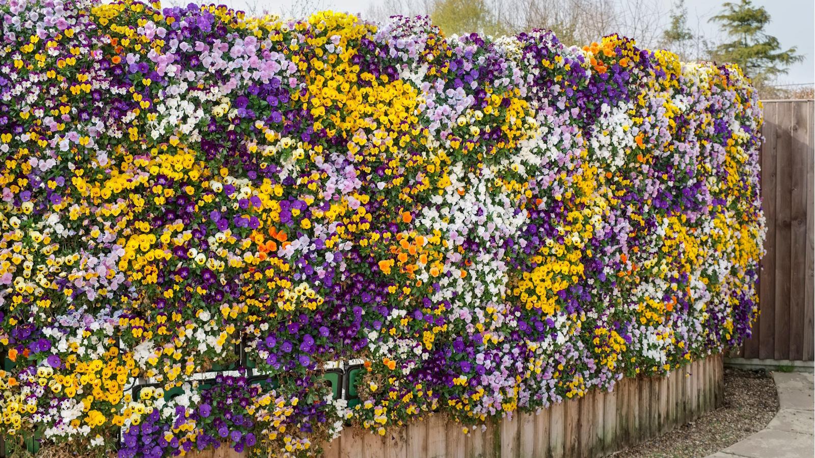 How to Grow a Stunning 2024 Vertical Garden. 1 How to Grow a Stunning 2024 Vertical Garden.