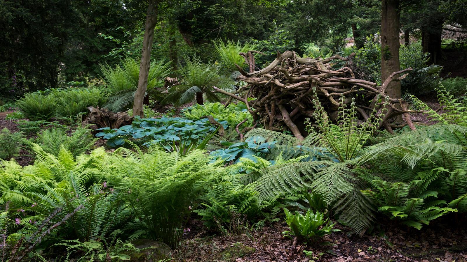 Discover the Allure of Stumperies in 2024. Unexpected Revelations for Your Garden. 1 Discover the Allure of Stumperies in 2024. Unexpected Revelations for Your Garden.