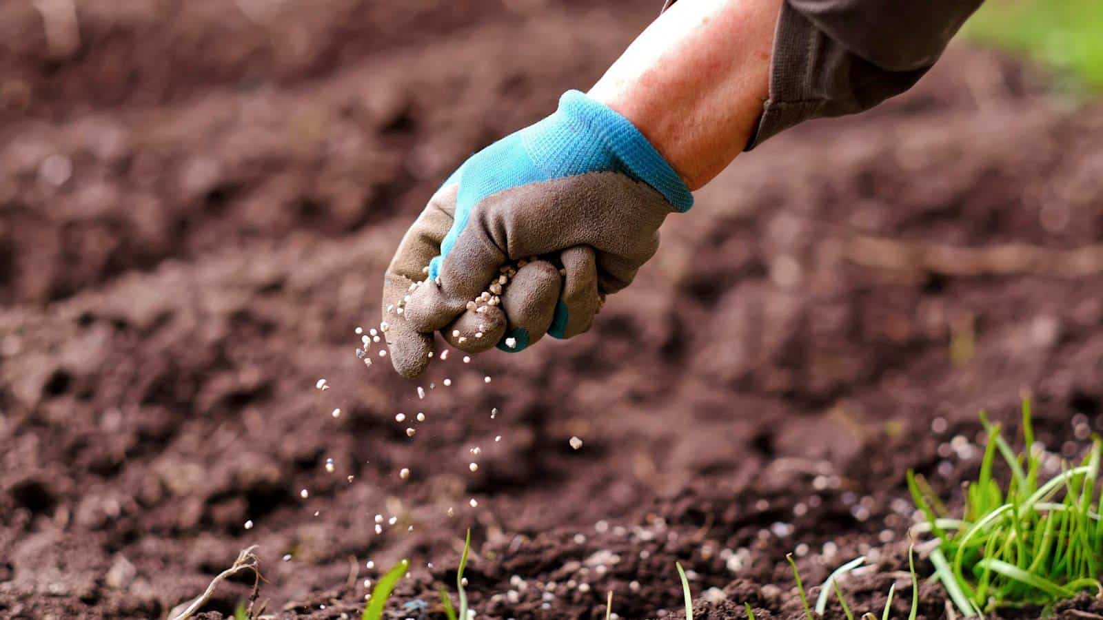 7 Surprising Fertilizing Secrets for Your 2024 Garden.
