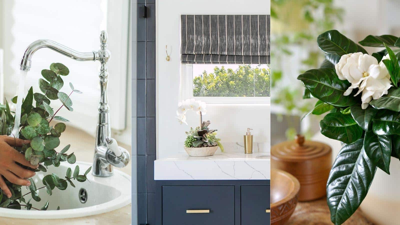 7 Fragrant Plants to Elevate Your 2024 Bathroom. 1 7 Fragrant Plants to Elevate Your 2024 Bathroom.