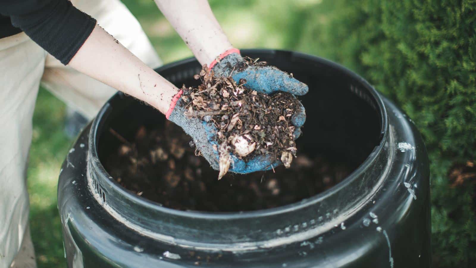 Compost Like a Pro: 7 Expert Secrets to Transform Your Pile in 2024.