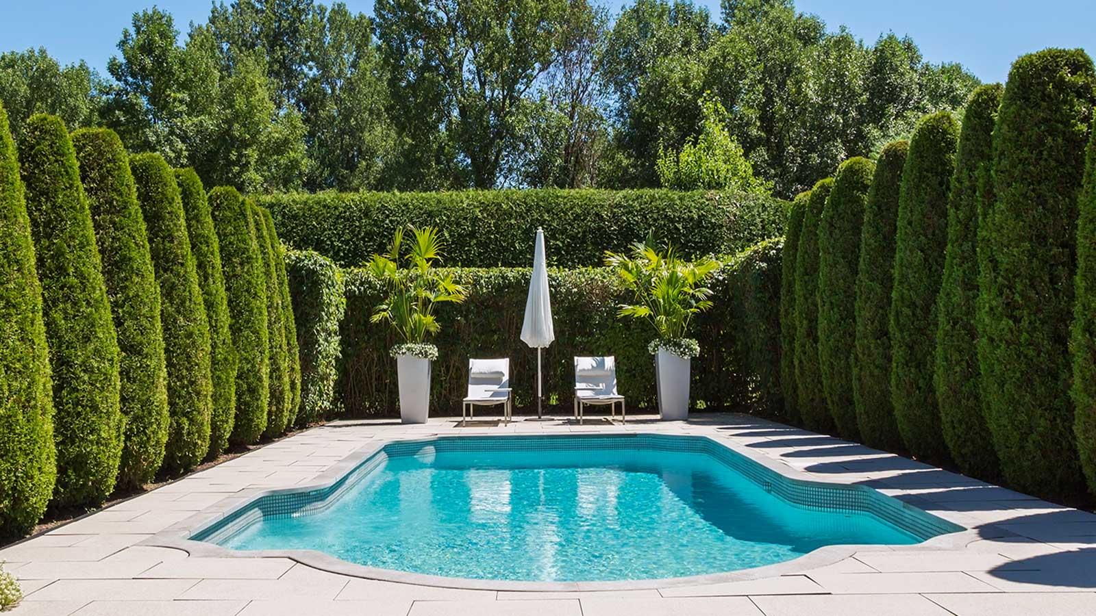 Overgrown Hedges in 2024: Surprising Neighbors' Secrets. 1 Overgrown Hedges in 2024: Surprising Neighbors' Secrets.
