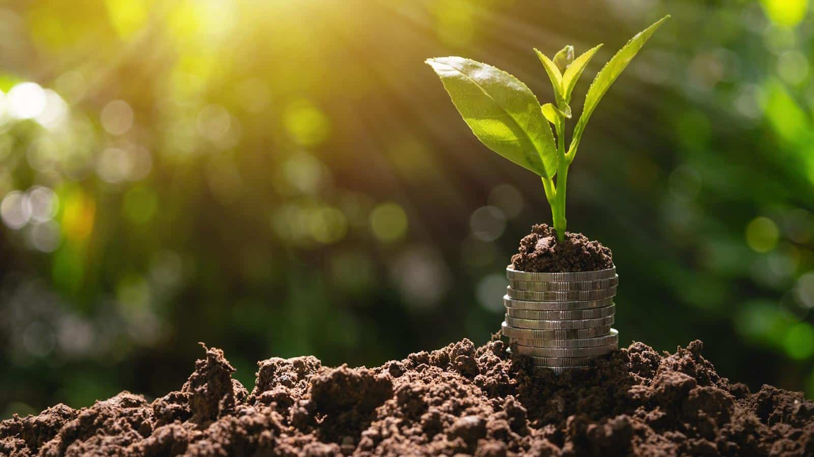 Surprising 2024 Penny-Planting Trend: Secrets Revealed.