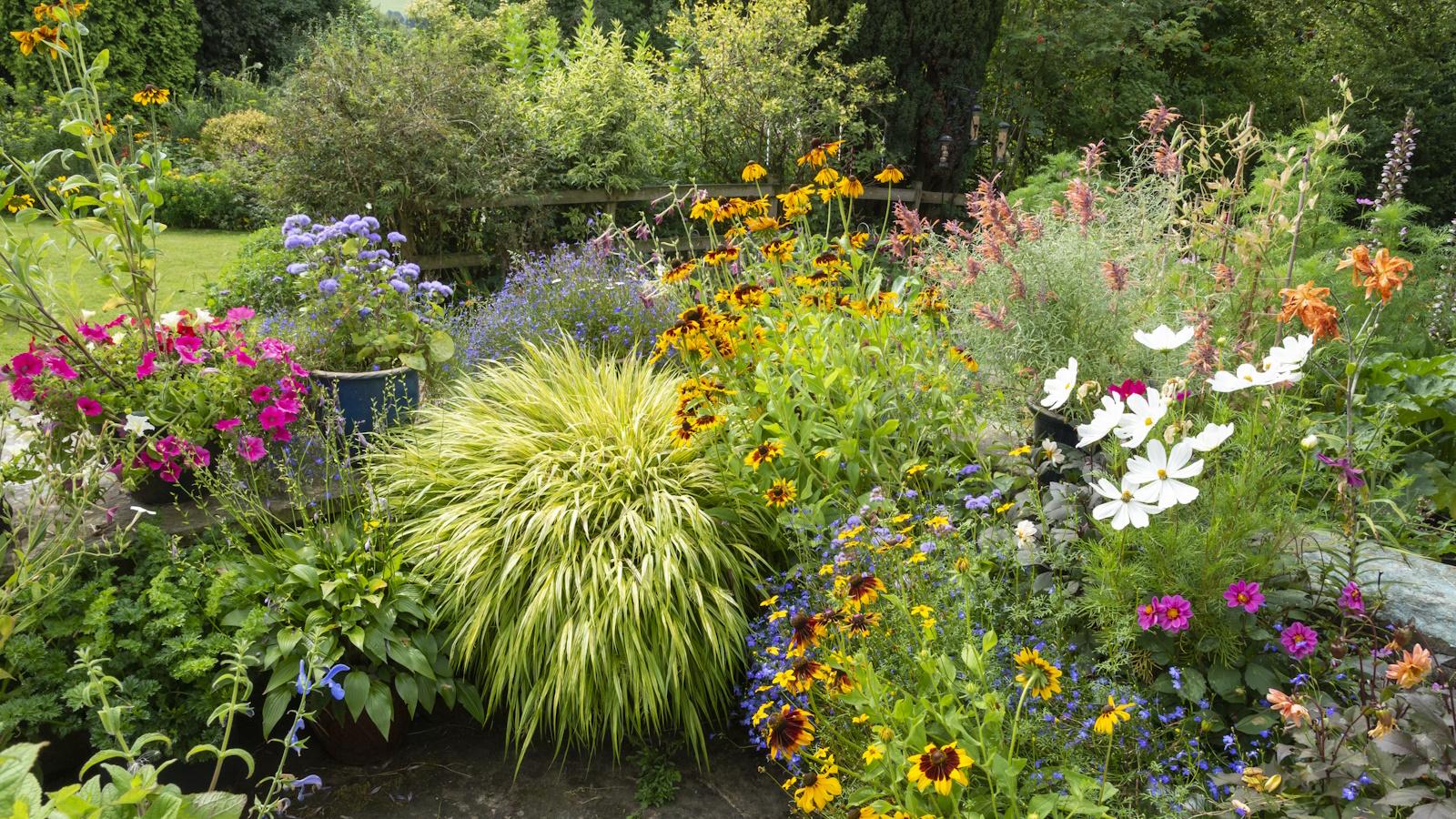 Colorful Planters for 2024. Unexpected Revelations & Summer Secrets.