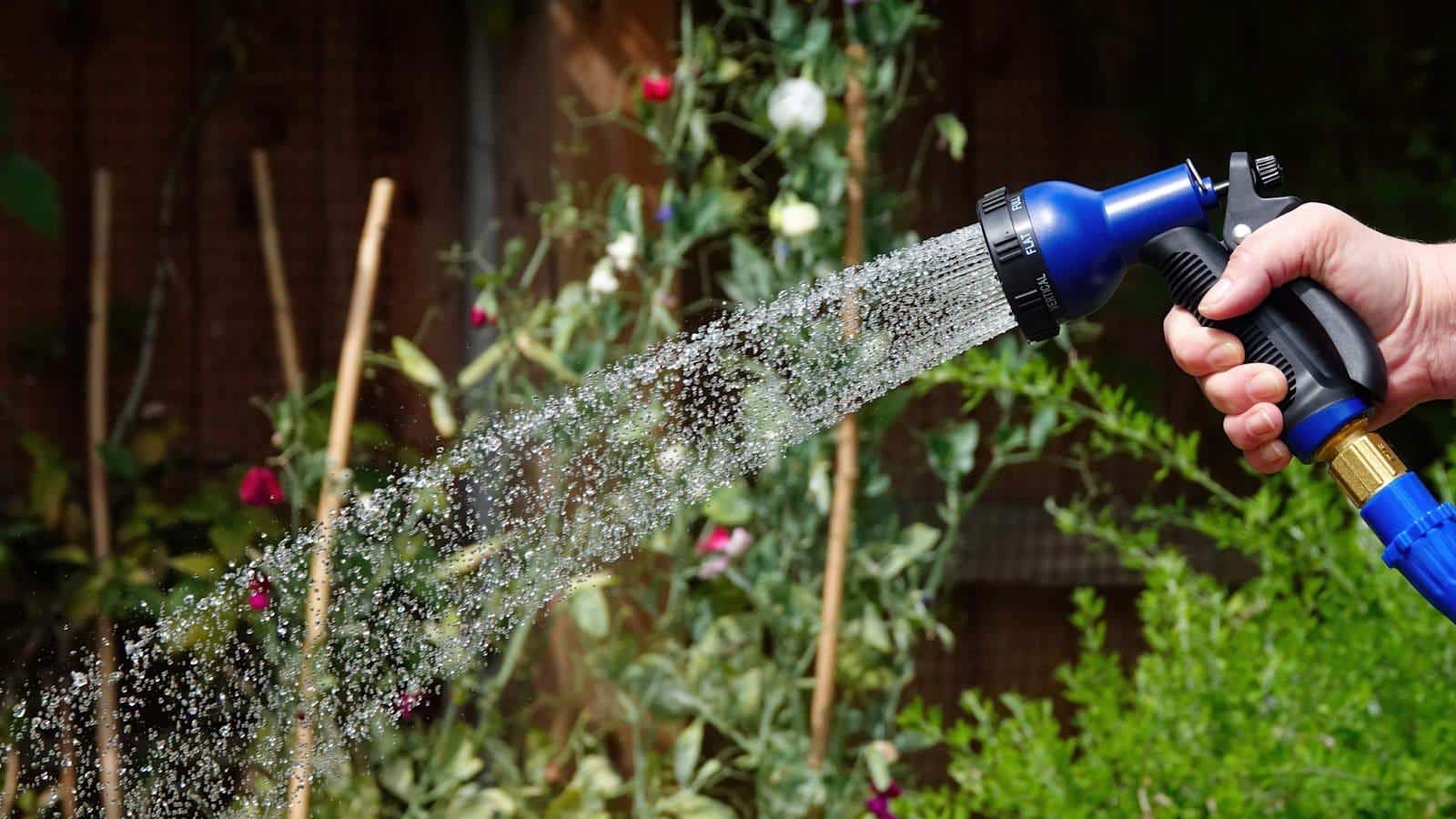 2024 Gardener's Guide: Secrets to Stronger Plants with Deep Watering.
