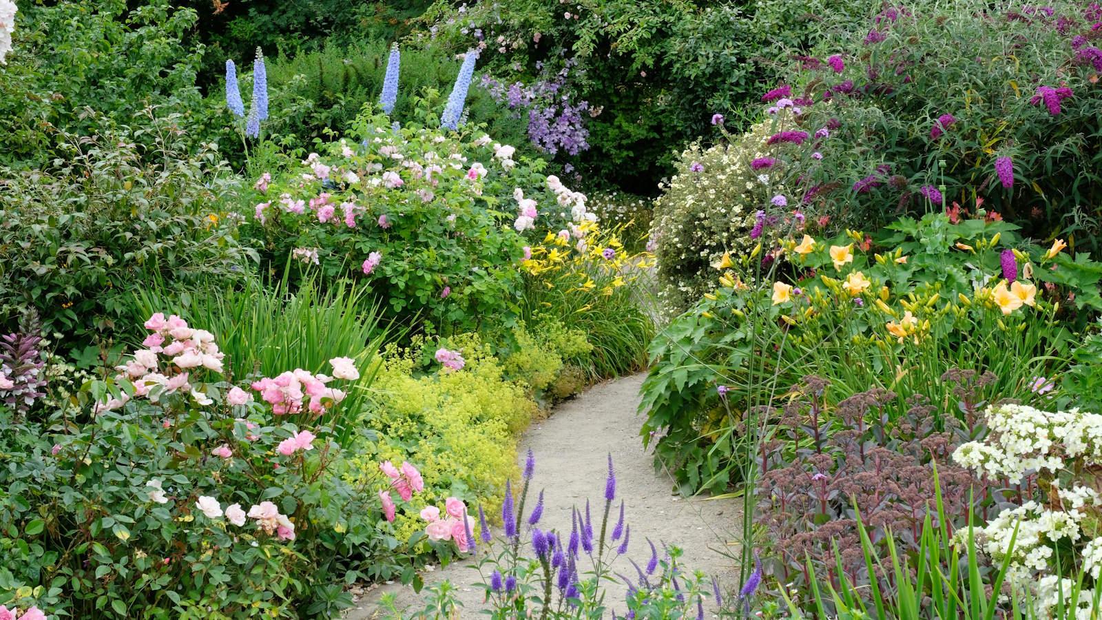 7 Blooming Wonders to Plant in July 2024.