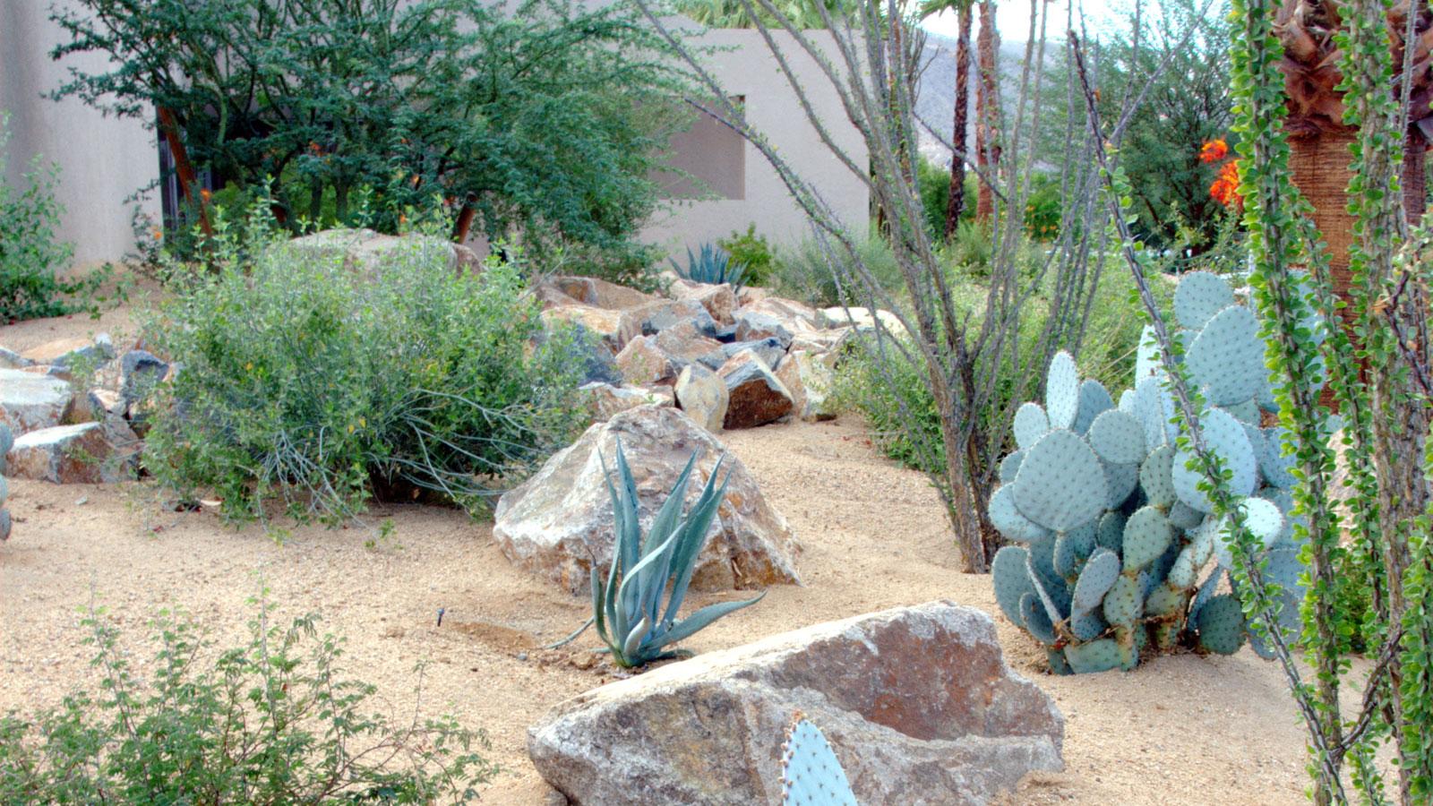 7 Surprising Xeriscaping Secrets for a Drought-Proof 2024 Yard. 1 7 Surprising Xeriscaping Secrets for a Drought-Proof 2024 Yard.