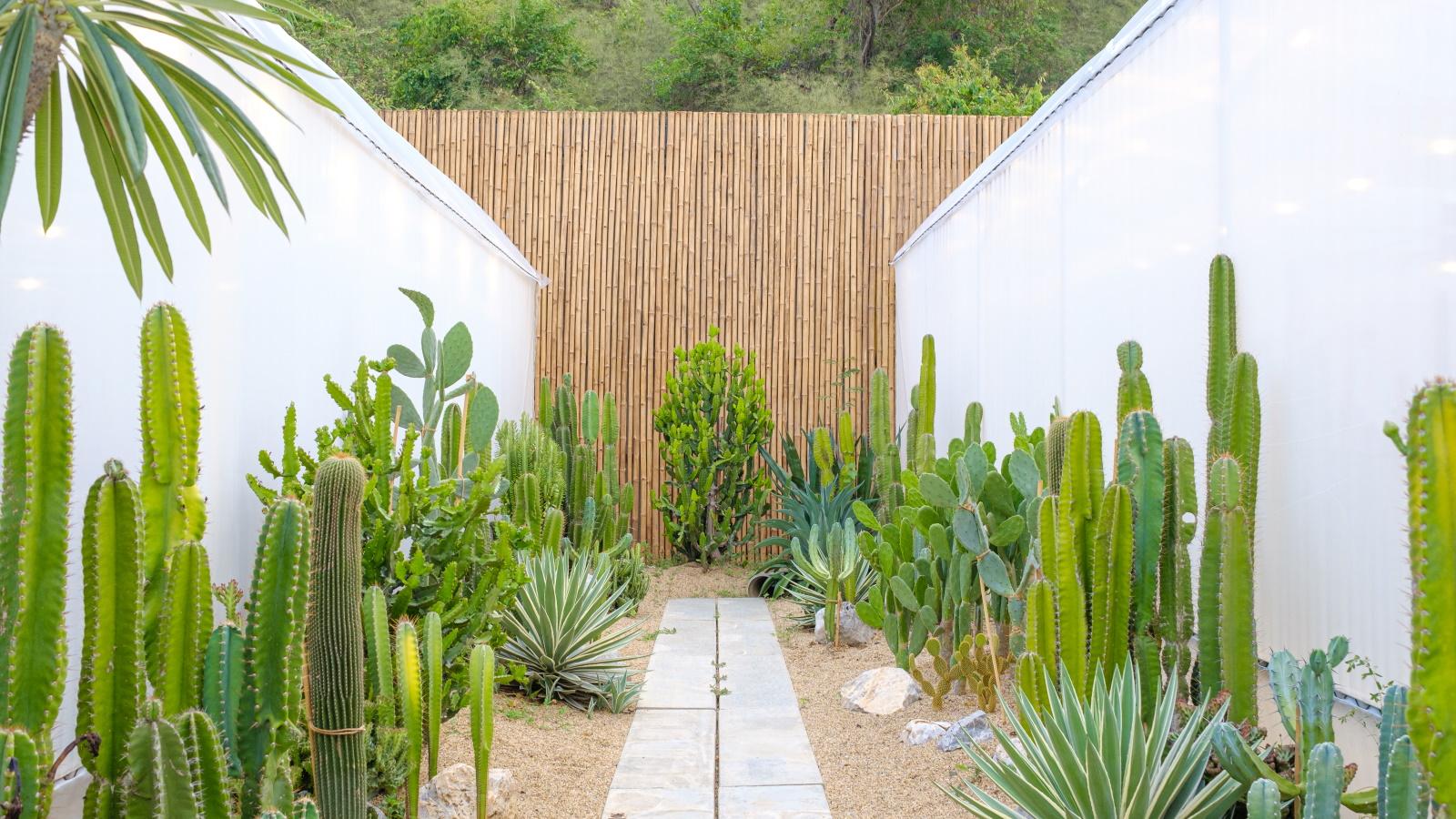 Stunning Desert Landscapes in 2024 - Unexpected Transformations. 1 Stunning Desert Landscapes in 2024 - Unexpected Transformations.