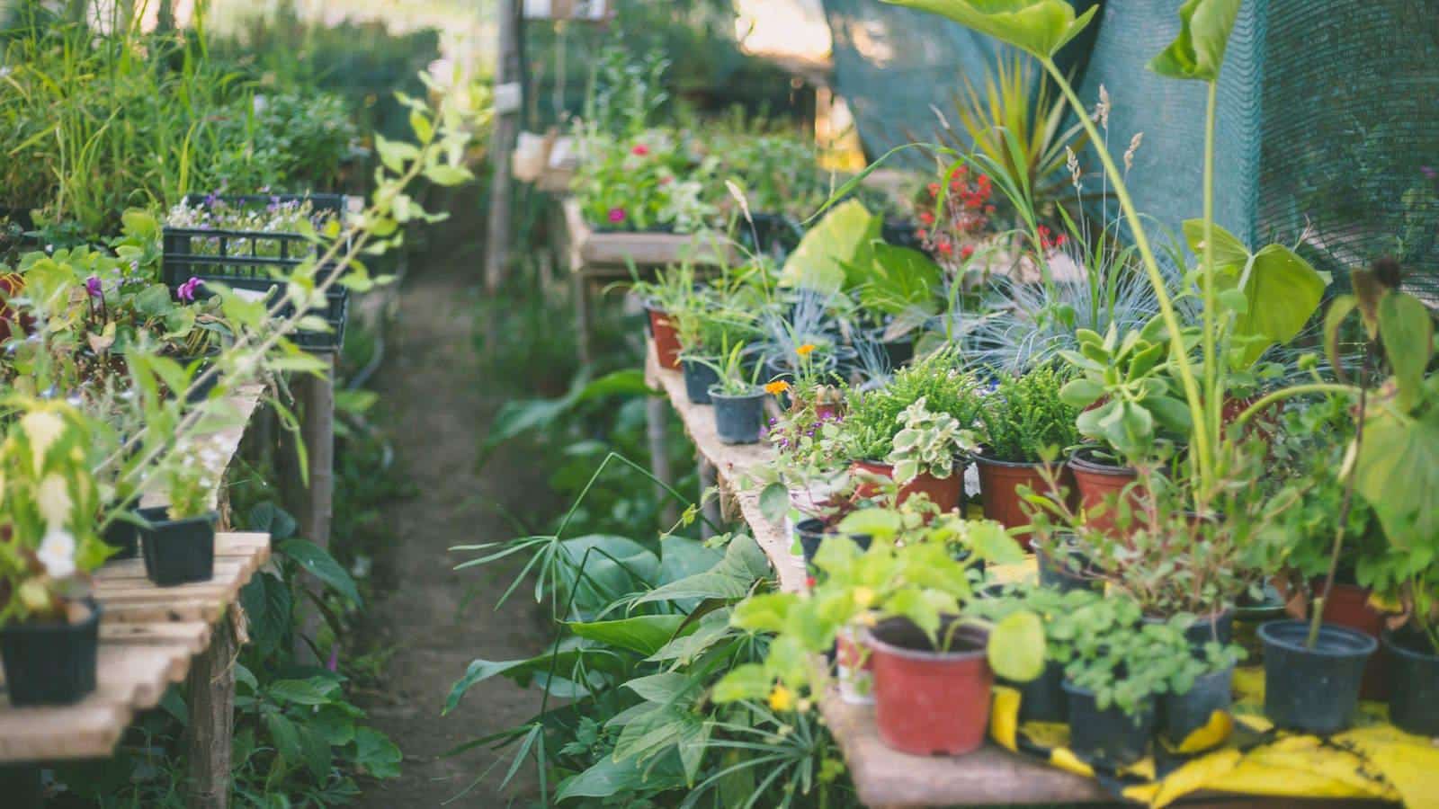 Become an Indoor Gardening Master in 2024. 1 Become an Indoor Gardening Master in 2024.