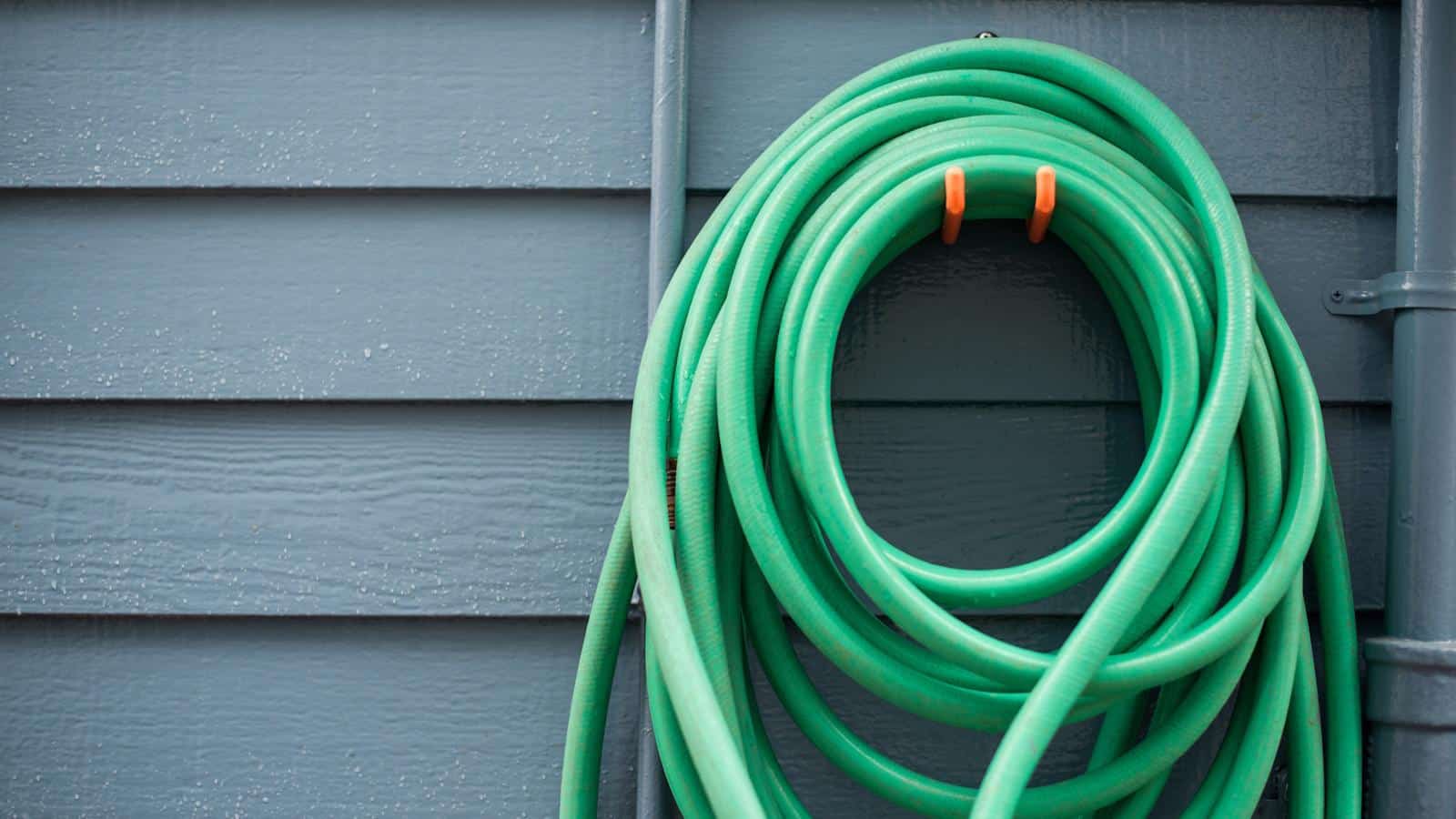 Revive Your Hose in 2024! [5 Unexpected Gardening Secrets]