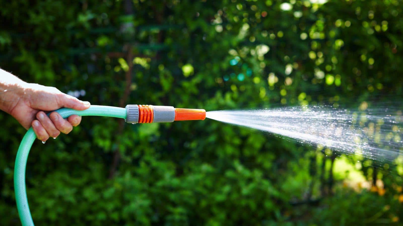 Alarming 2024 Hose Water Risks: Secrets Uncovered. 1 Alarming 2024 Hose Water Risks: Secrets Uncovered.