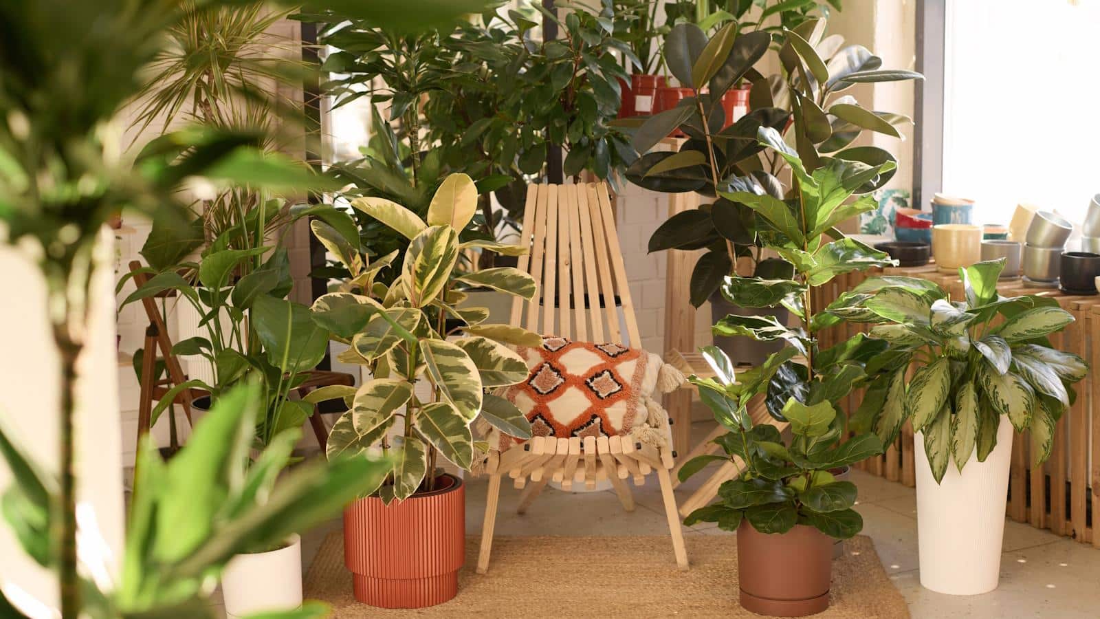 5 Surprising Secrets to Defeat Houseplant Gnats in 2024.