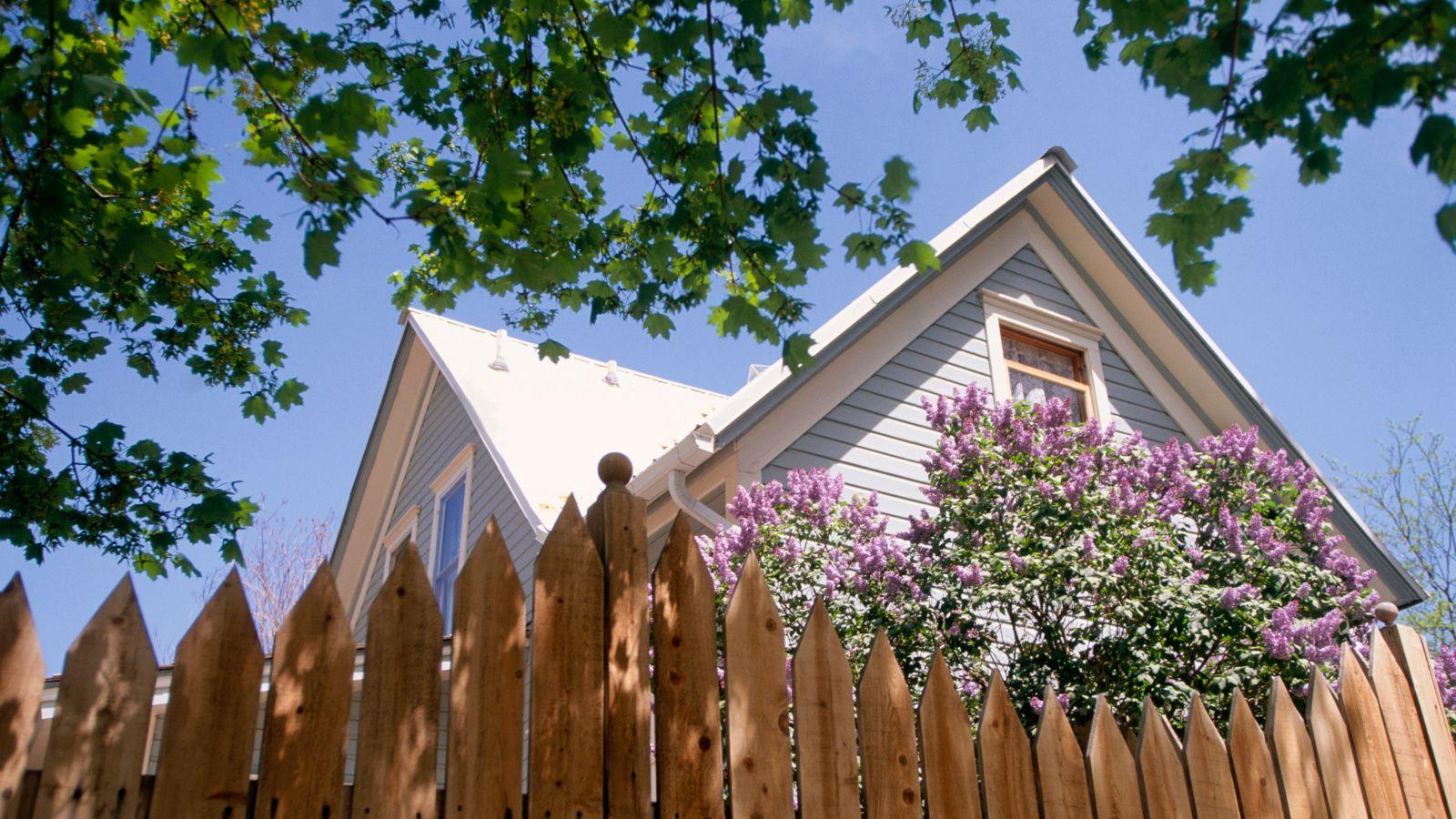 2024 Tree Liability Secrets Neighbors Must Know. Take Action. 1 2024 Tree Liability Secrets Neighbors Must Know. Take Action.