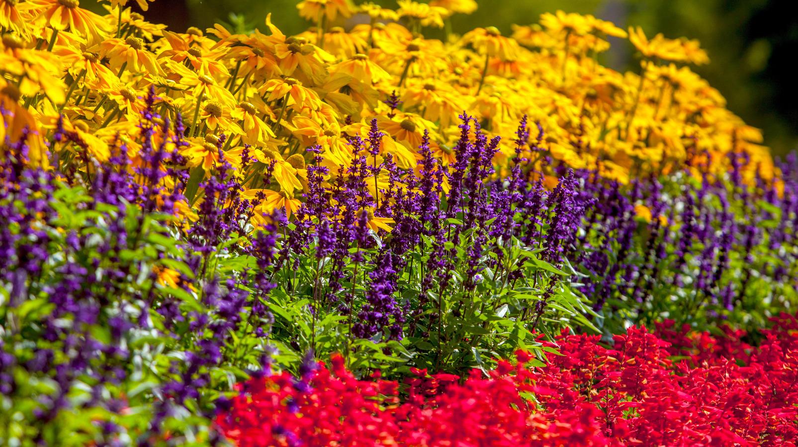 Drought-Proof Your 2024 Landscape Secrets. 1 Drought-Proof Your 2024 Landscape Secrets.