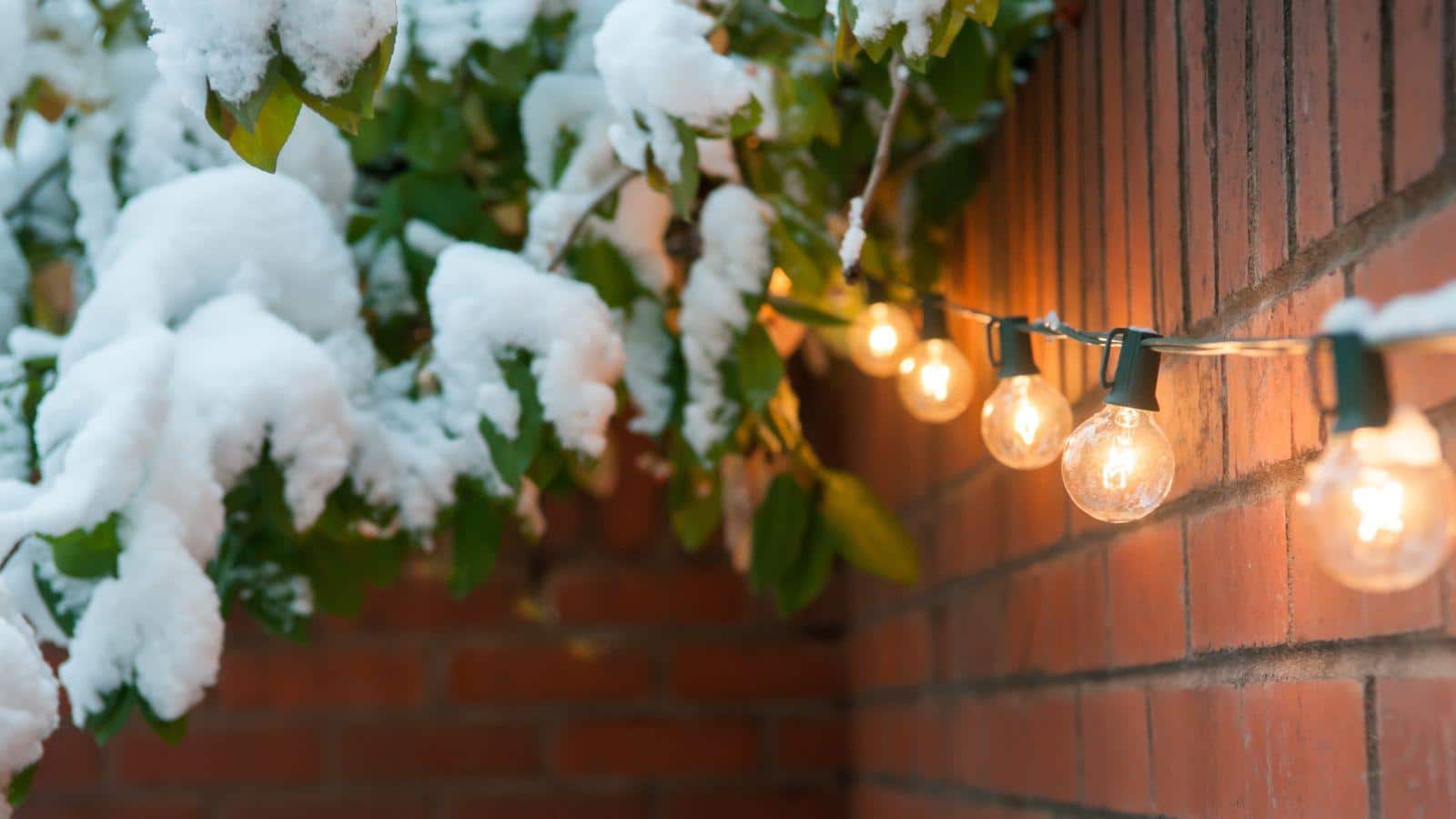 Solar Lights Revival in 2024. Experts' Surprising Tips. 1 Solar Lights Revival in 2024. Experts' Surprising Tips.
