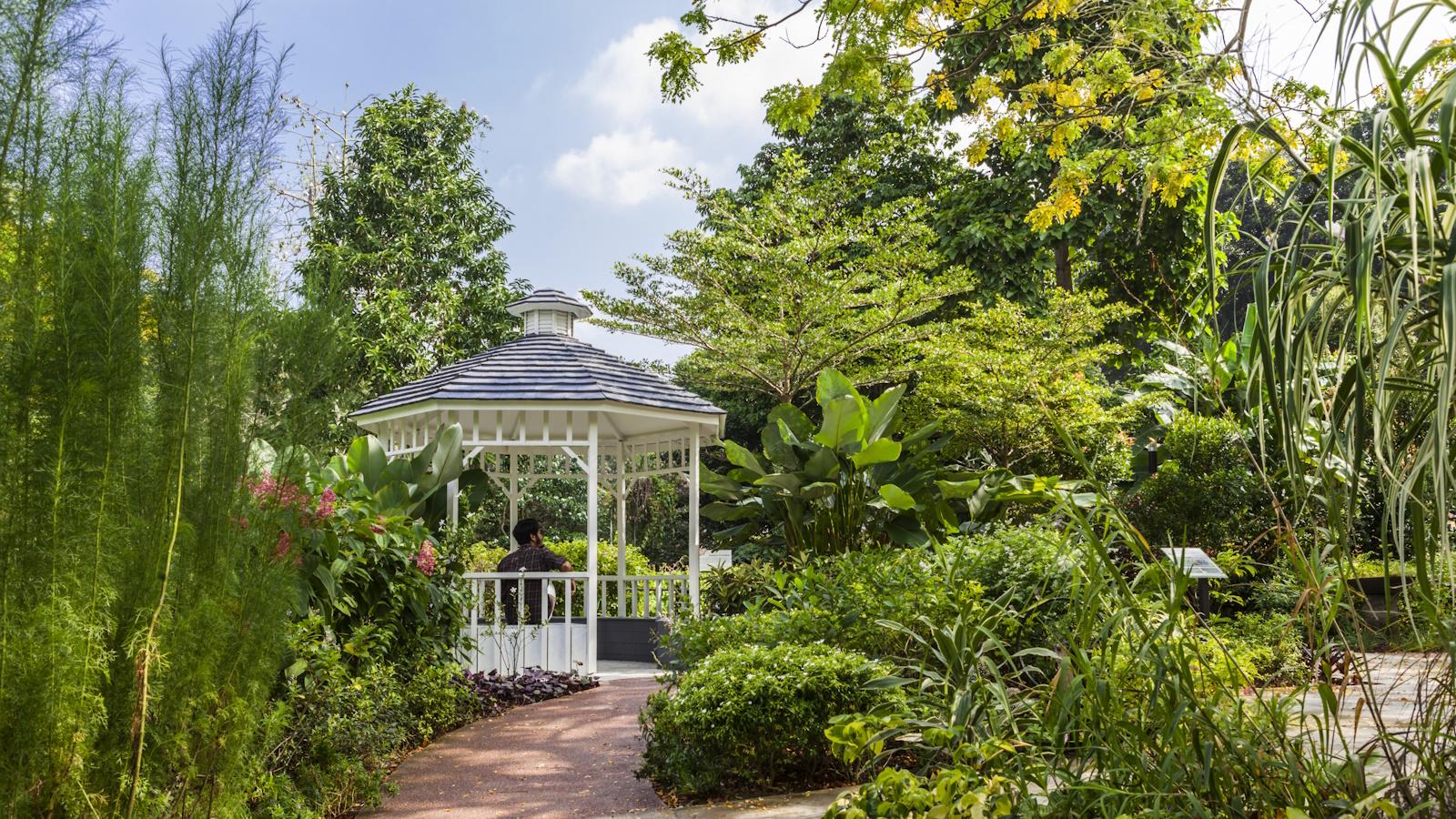 Embrace Nature's Wonders in 2024 Singapore.