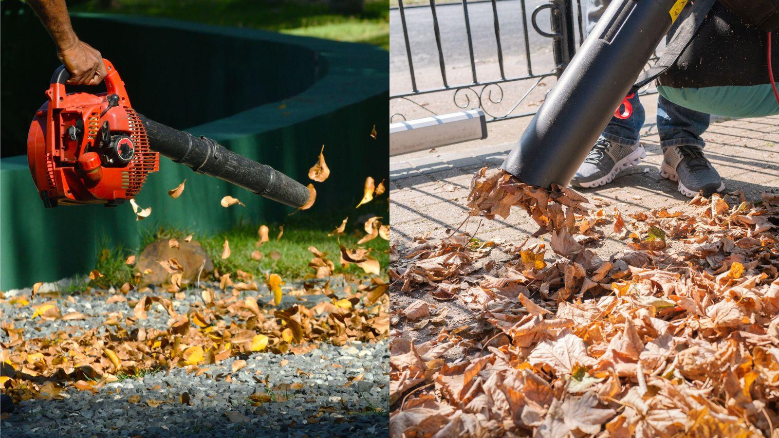 Leaf Blowers vs. Vacuums in 2024: Surprising Secrets to Optimize Your Yard. 1 Leaf Blowers vs. Vacuums in 2024: Surprising Secrets to Optimize Your Yard.