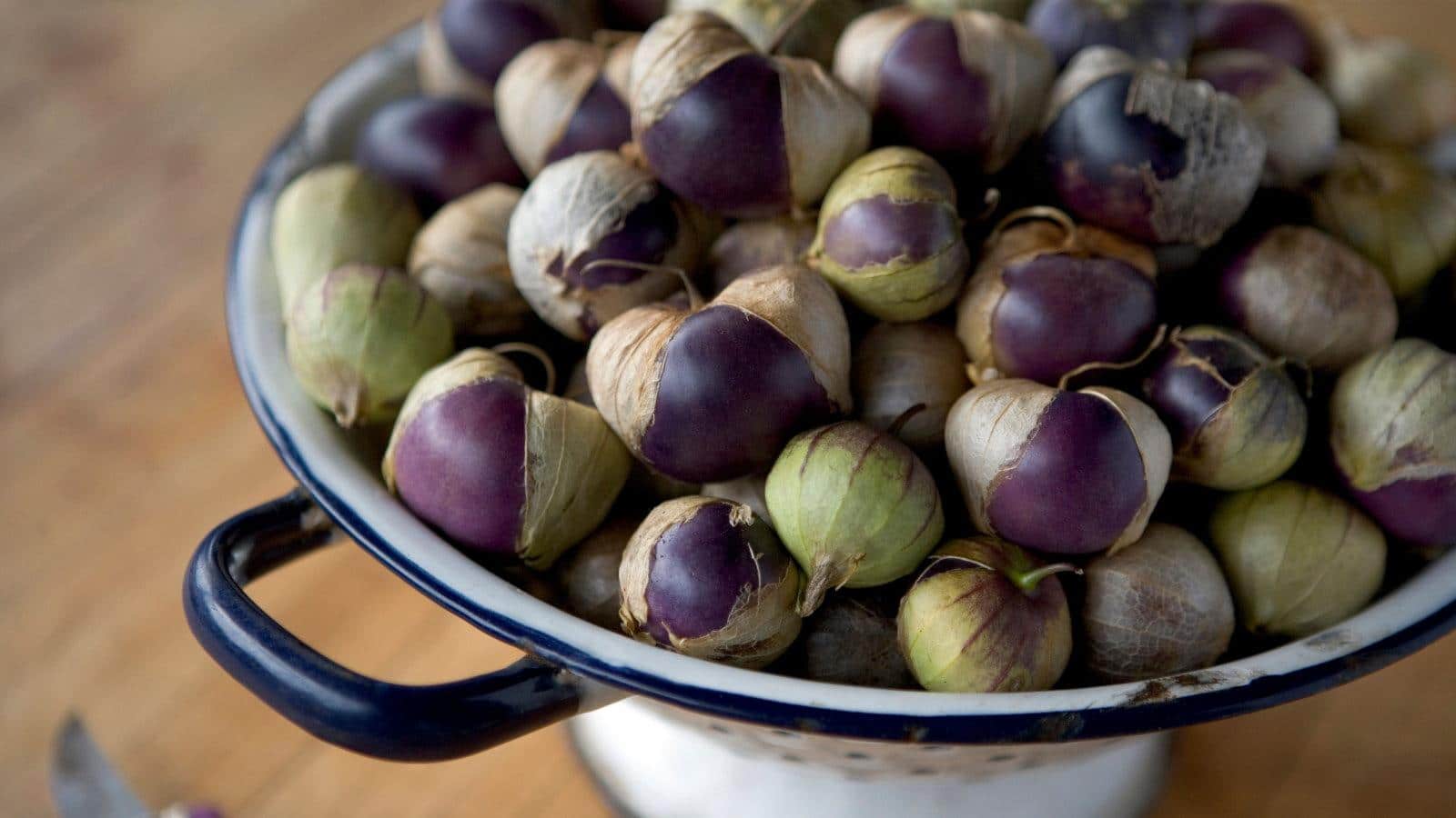 Unlock the 2024 Tomatillo Harvest Secrets for Flavorful Bounty.