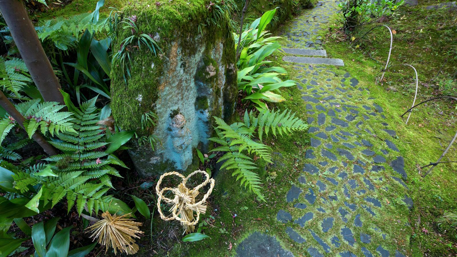 7 Magical Fairy Garden Trends to Transform Your 2024 Backyard. 1 7 Magical Fairy Garden Trends to Transform Your 2024 Backyard.