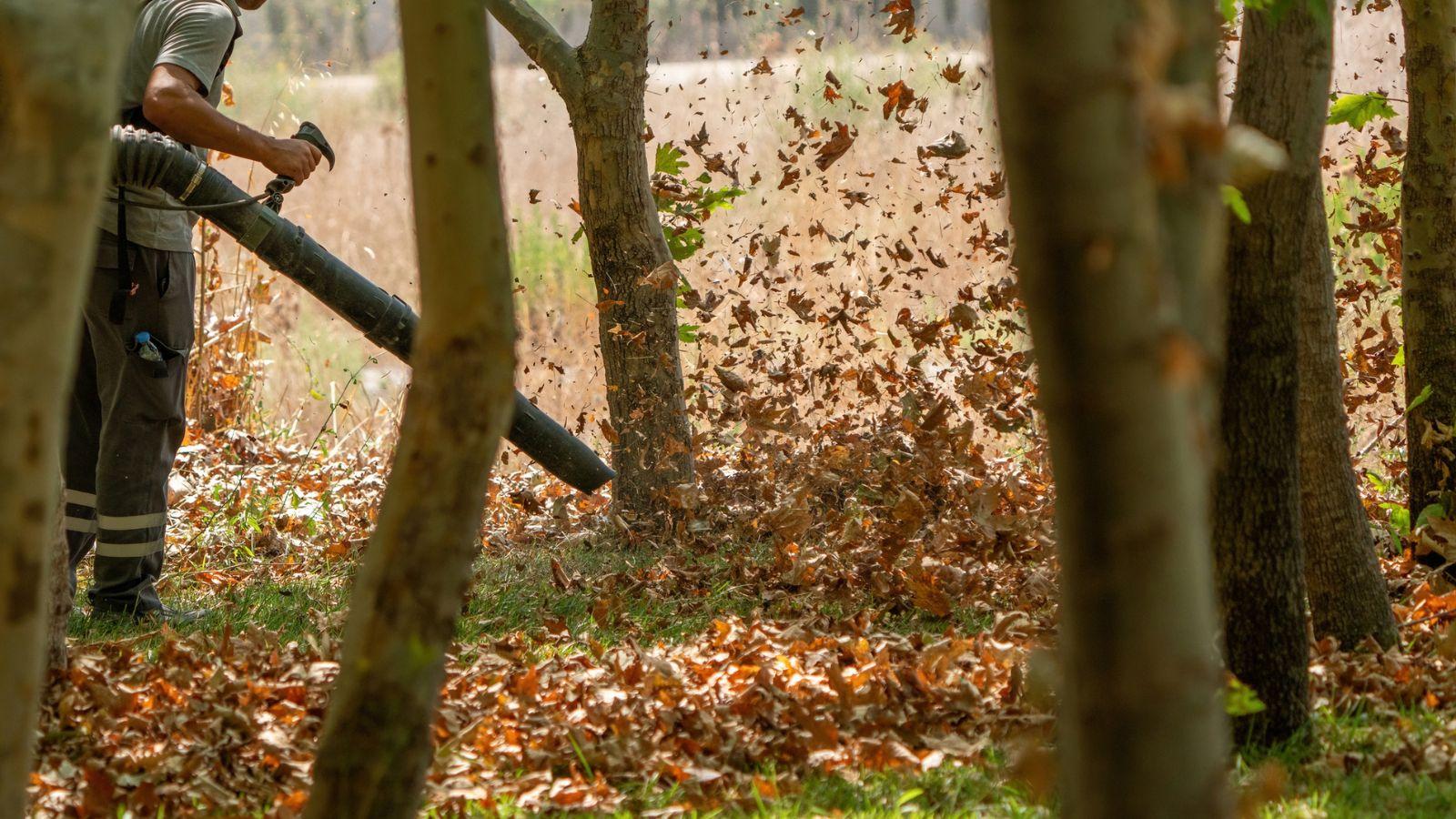 Leaf Blowers' Surprising 2024 Environmental Cost: 5 Unexpected Revelations.