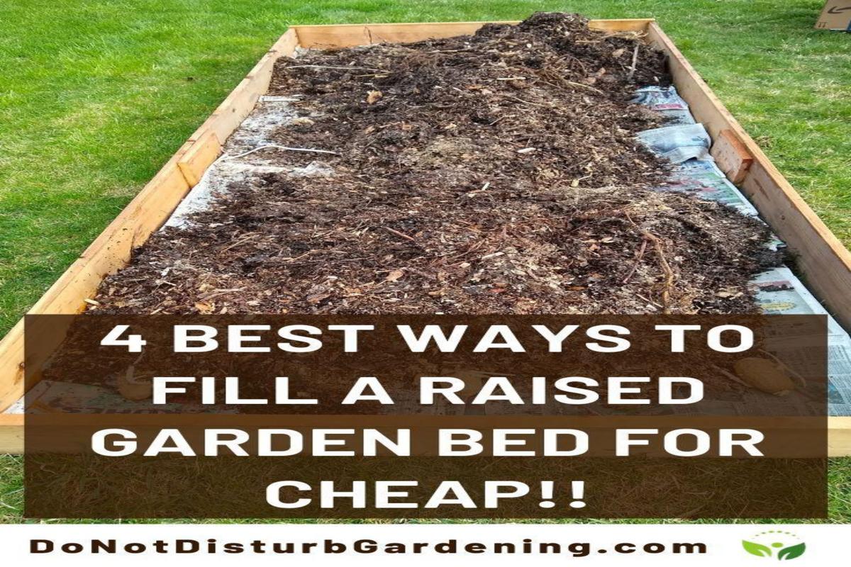 Mastering Raised Bed Preparation: A Step-by-Step Guide to Optimal Soil ...