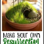 resurrection-garden-sparking-curiosity-unexpected-transformations-2024