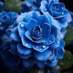 Top 7 Mesmerizing Blue Flowers That Will Elevate Your Garden's Beauty.