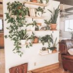 transform-your-space-with-innovative-plant-wall-design