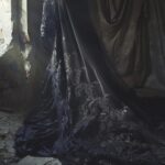 MYSTERIOUS BLACK LACE DRESS UNCOVERS HIDDEN SECRETS.