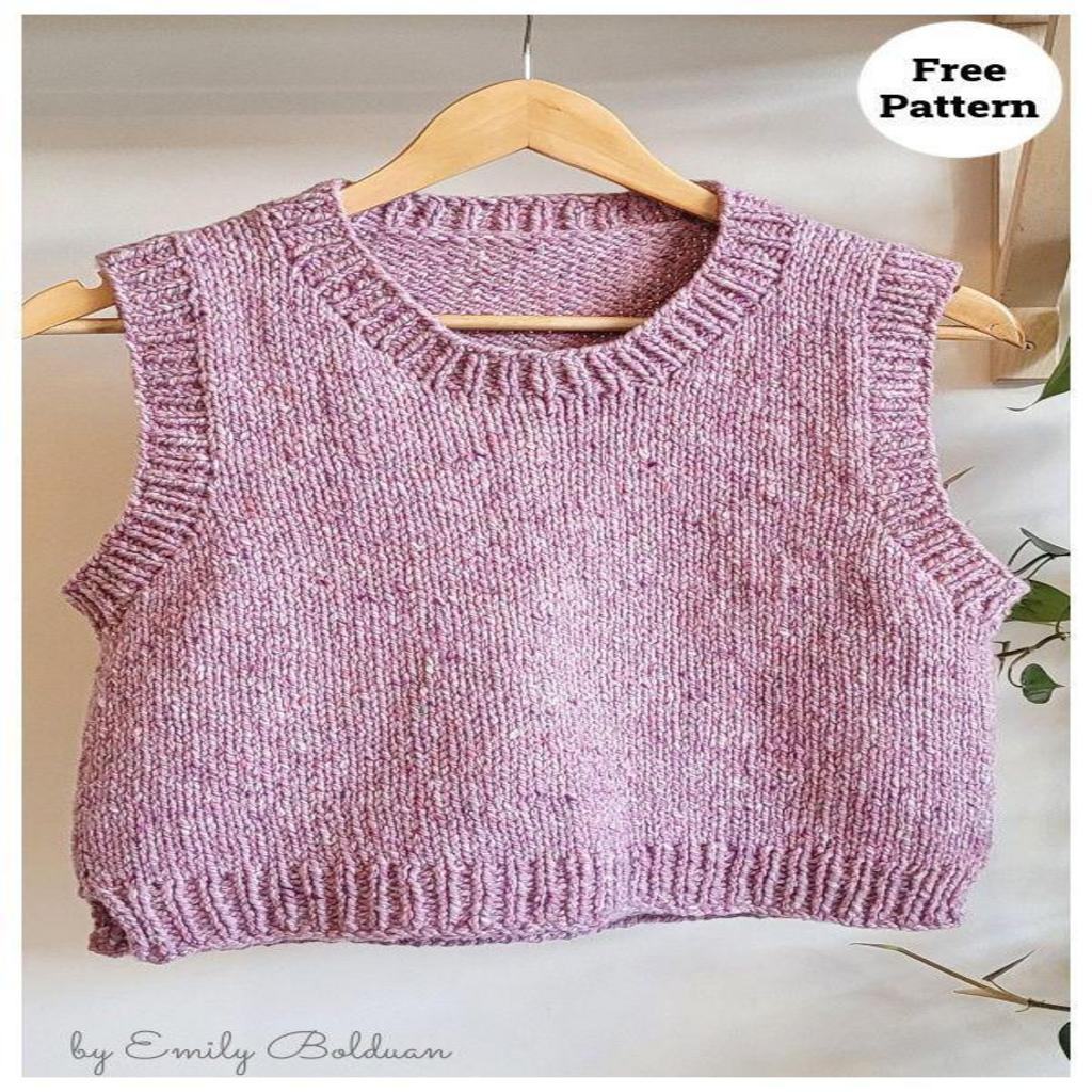 [ 預訂 ⋆ 𐙚 ̊. ] [隨時完售！] knit vest / 3 colors