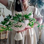 Elevate Your Plant's Charm with This Stunning Macrame Hanger.