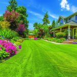 Lawn Maintenance Cheat Sheet: Quick Tips for a Perfect Yard