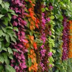 Off-the-Wall Gardening Ideas: Creative Vertical Gardening Tips