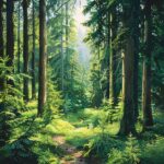 Spruce Budworm: Identifying and Controlling This Common Pest