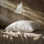 sleep-in-luxury-top-5-reasons-feather-pillows