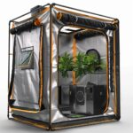 Apollo Grow Tent Review: Assessing Its Worth for Your Gardening Investment apollo-grow-tent-review