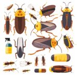 best-roach-killer
