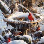heated-bird-bath