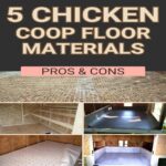 Inside Chicken Coop Designs: 10 Ideas for a Practical and Pretty Coop