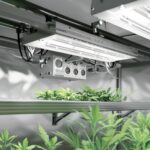 Prism Ceramic Science 315W CMH Kit Review: Analyzing Performance and Value prism-ceramic-science-315w-cmh-kit-review