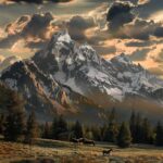 watch-yellowstone-guide