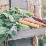 Delightful Winter Harvests Await in 2024. Secrets Revealed!