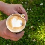 The 2024 Secrets of Coffee Grounds for Lush Lawns.