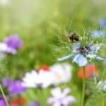 Boost Your Blooming Garden in 2024 with These 5 Secrets. Boost Your Blooming Garden in 2024 with These 5 Secrets.