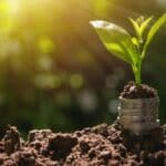 Surprising 2024 Penny-Planting Trend: Secrets Revealed.