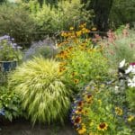 Colorful Planters for 2024. Unexpected Revelations & Summer Secrets.