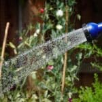 2024 Gardener's Guide: Secrets to Stronger Plants with Deep Watering.