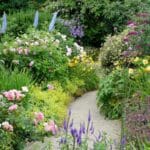 7 Blooming Wonders to Plant in July 2024. 7 Blooming Wonders to Plant in July 2024.