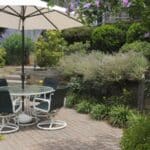 5 Surprising 2024 Shady Patio Plants to Brighten Your Outdoor Oasis.