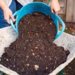 Conquer 5 Composting Odor Secrets in 2024.